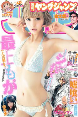 岛固搬运工网站