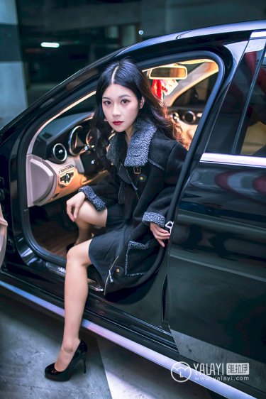 综合缴情丁香